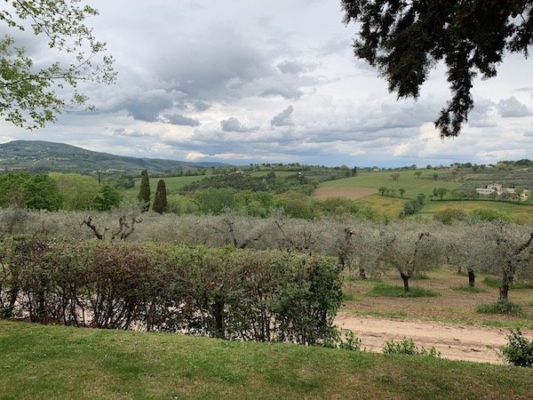 montefalco_vista_vigneti