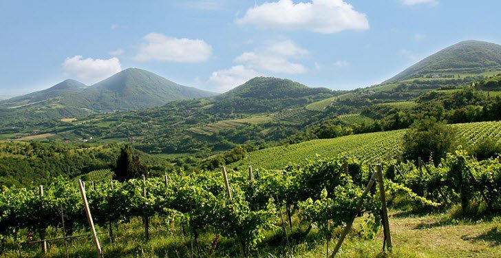 colli_euganei