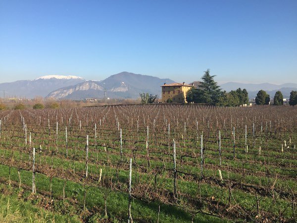 vigneti_franciacorta vigneti_franciacorta